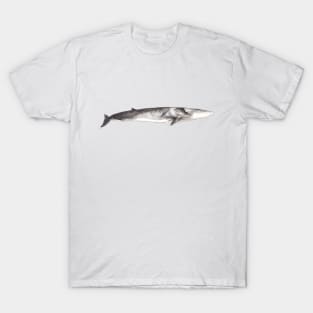 Fin whale Balaenoptera physalus T-Shirt